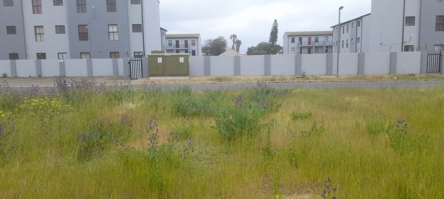 0 Bedroom Property for Sale in Moorreesburg Western Cape